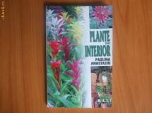p Plante de interior - Paulina Anastasiu foto