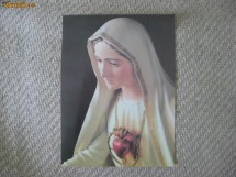 ICOANA FECIOARA MARIA foto