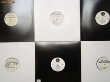 Diferite discuri muzica REMIX , TRANCE , CLUBMIX, HOUSE 6 LP - maxi single !!!uitati-va la poze!!! IDiscurile se afta in stare foarte buna (poz15) foto