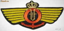 semn de arma regalist,aerostatie,Primul Razboi Mondial foto