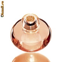 Parfum VOLARE 50 ml + deodorant roll-on Volare foto