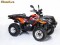 ATV LINHAI 300 ANNIVERSARY MODEL 2X4 '09
