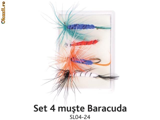 Set 4 muste Baracuda SL04-24 foto mare