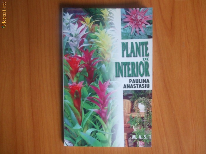 p Plante de interior - Paulina Anastasiu foto mare