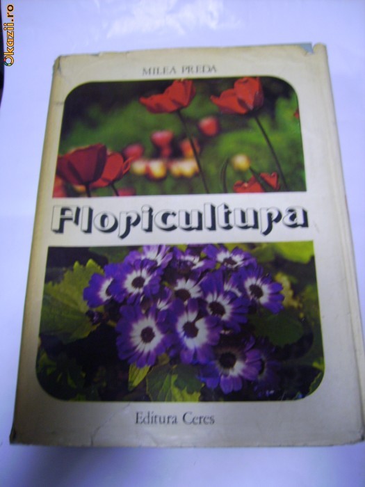 FLORICULTURA - Milea PREDA foto mare