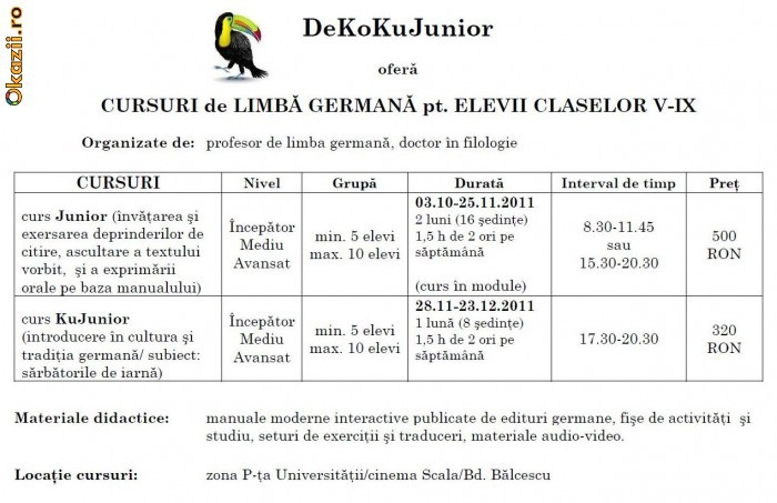 CURSURI de LIMBA GERMANA pt. ELEVII CLASELOR IV-IX foto mare