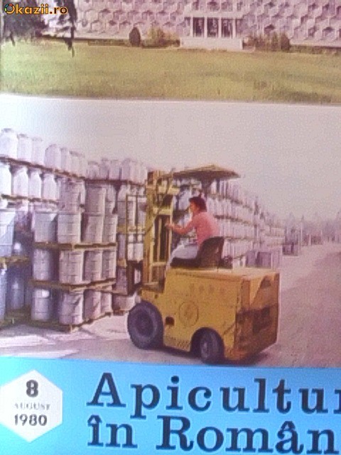 APICULTURA IN ROMAIA -AUGUST 1980 foto mare