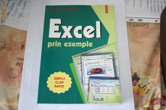 EXCEL prin exemple - 2004 - ed. POLIROM - Silvia Curtean - 349 pagini foto mare