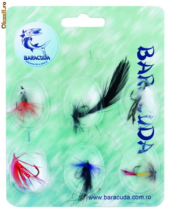 Set A , 6 muste Baracuda foto mare