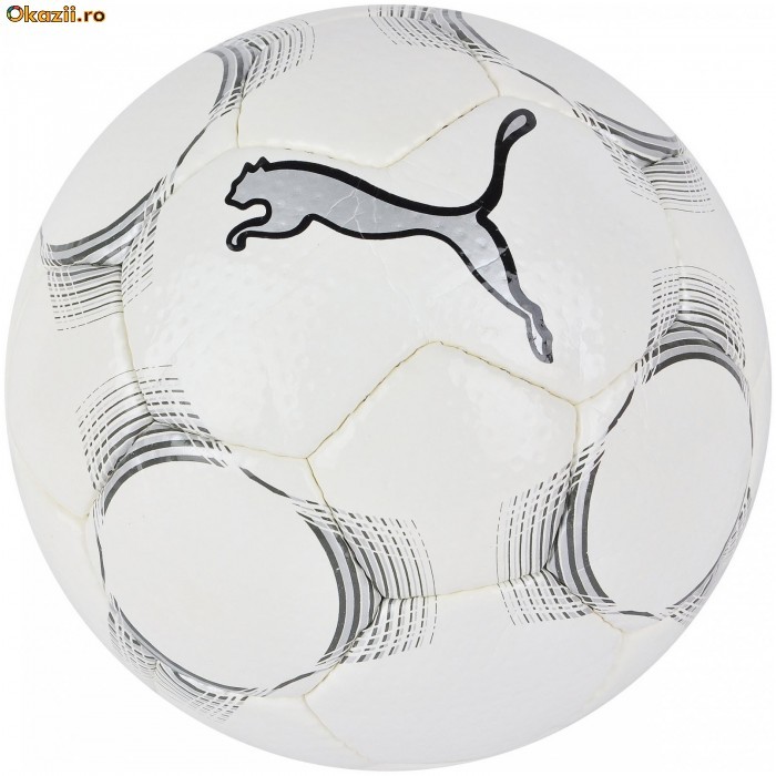 Minge Puma v408 Club 08106821 - Id: 6382 foto mare