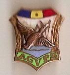 INSIGNA A.G.V.P.S. foto