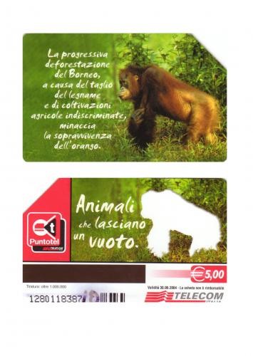 CARTELA  ITALIA - urangutan ** foto mare