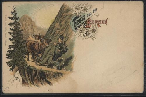 Litografie , Bergen , comica , necirculata , sfarsit de secol 19 foto mare
