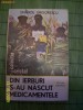 Din ierburi s-au nascut medicamentele de Emanoil Grigorescu