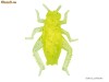 Twistere W 066 - 2.5cm/ 10 buc pe pachet