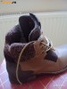 Vand Bocanci Firetrap