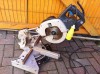 ELU PS 274/DEWALT DW707-CIRCULAR CU SANIE /1200W/110V