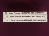 Cezar Petrescu - Romanul lui Eminescu - 24753