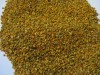 POLEN USCAT  |  AN 2012  |  85 RON / KG